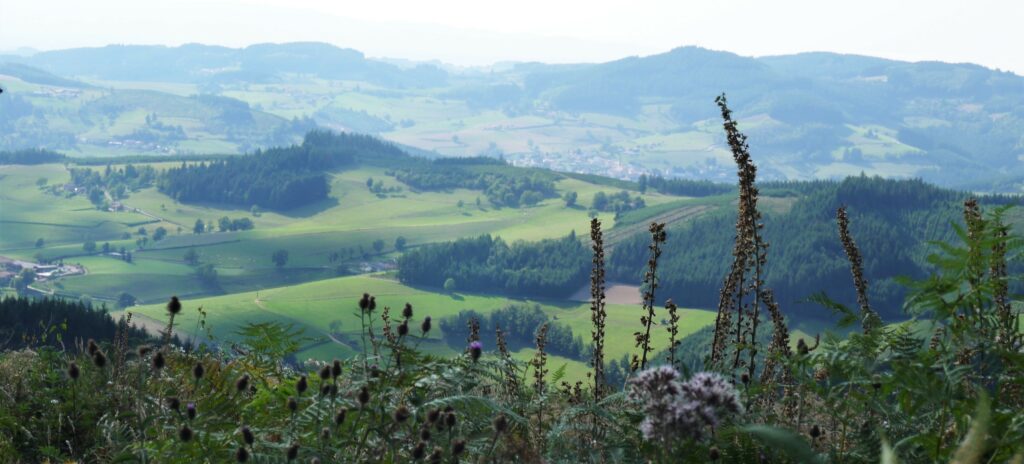 Photo de la vallée d'azergues